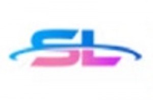 StepLink