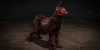 U4gm-Diablo 4 Season 9: A Deep Dive into Horadric Powers and New Items