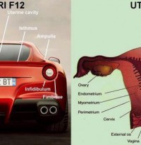 ferrari f12