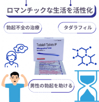 男性の勃起不全に対するメガリス 20mgとは